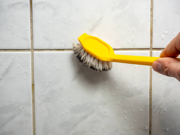 Best Mold Removal Near Me  in Fairhope, AL