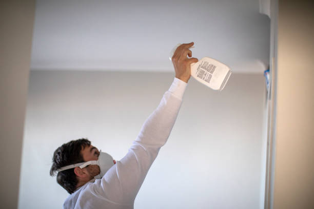 Best Professional Mold Removal  in Fairhope, AL