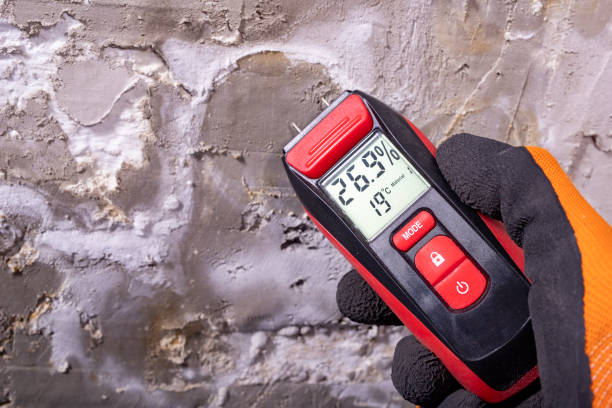 Best Emergency Mold Removal  in Fairhope, AL