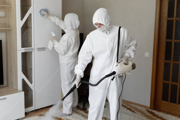 Best Mold Damage Repair  in Fairhope, AL